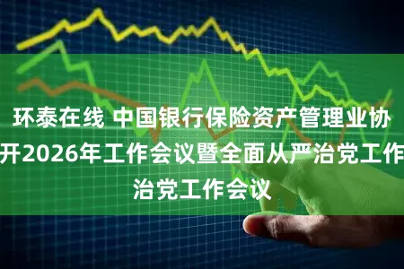 环泰在线 中国银行保险资产管理业协会召开2026年工作会议暨全面从严治党工作会议