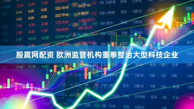 股赢网配资 欧洲监管机构重拳整治大型科技企业