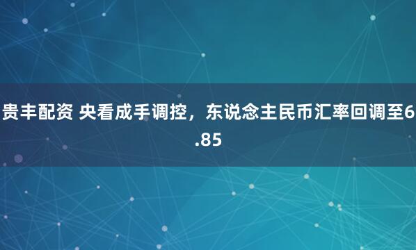 贵丰配资 央看成手调控，东说念主民币汇率回调至6.85