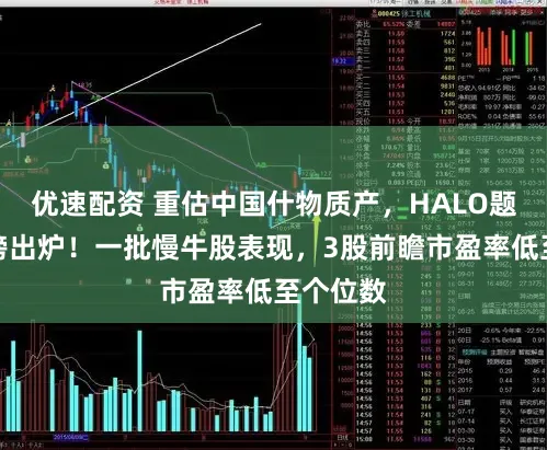 优速配资 重估中国什物质产，HALO题材百强榜出炉！一批慢牛股表现，3股前瞻市盈率低至个位数