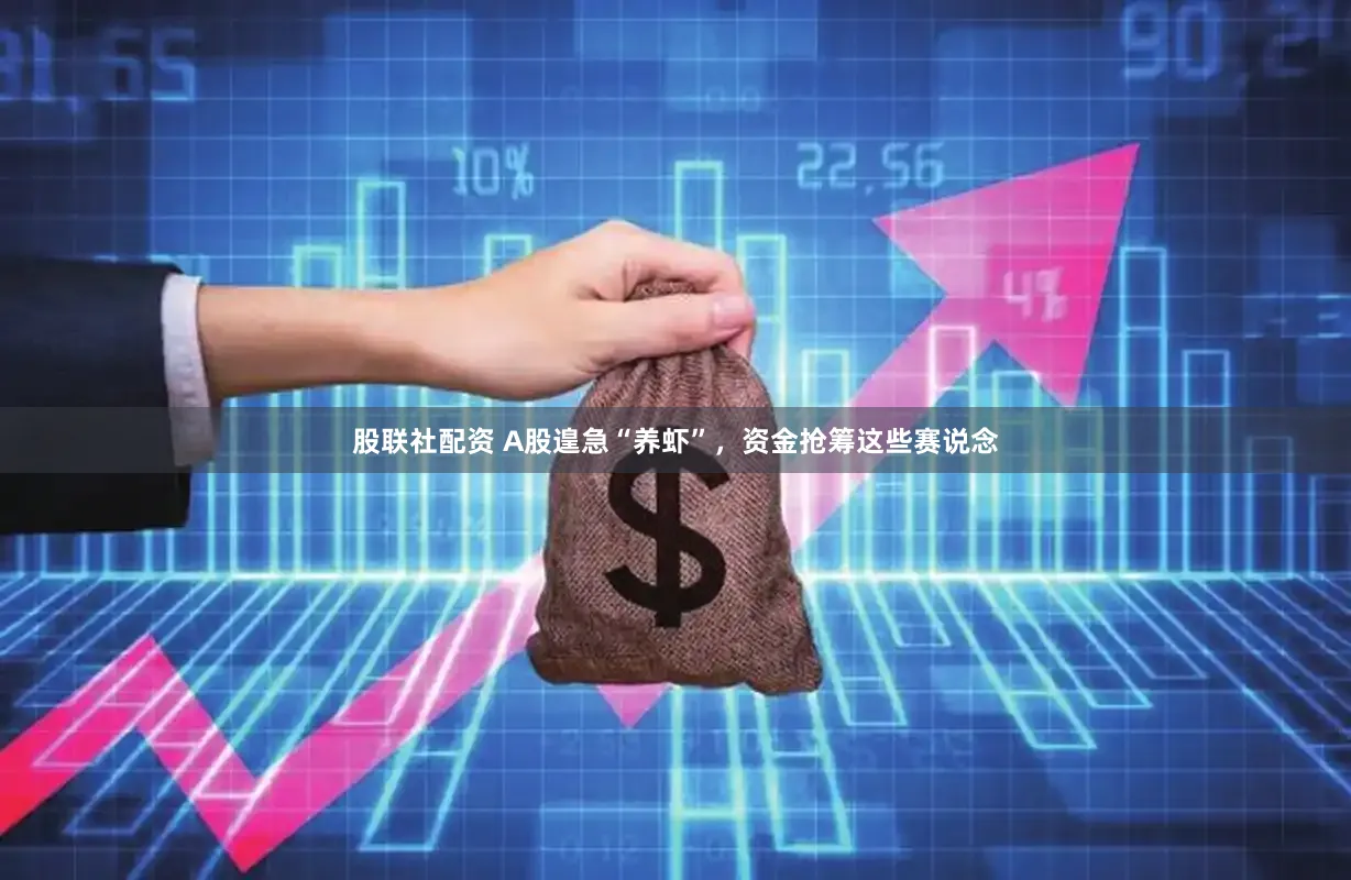 股联社配资 A股遑急“养虾”，资金抢筹这些赛说念