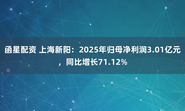 函星配资 上海新阳：2025年归母净利润3.01亿元，同比增长71.12%