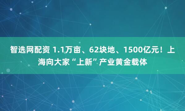 智选网配资 1.1万亩、62块地、1500亿元！上海向大家“上新”产业黄金载体