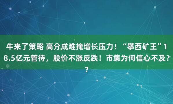 牛来了策略 高分成难掩增长压力！“攀西矿王”18.5亿元管待，股价不涨反跌！市集为何信心不及？