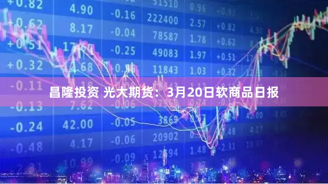 昌隆投资 光大期货：3月20日软商品日报