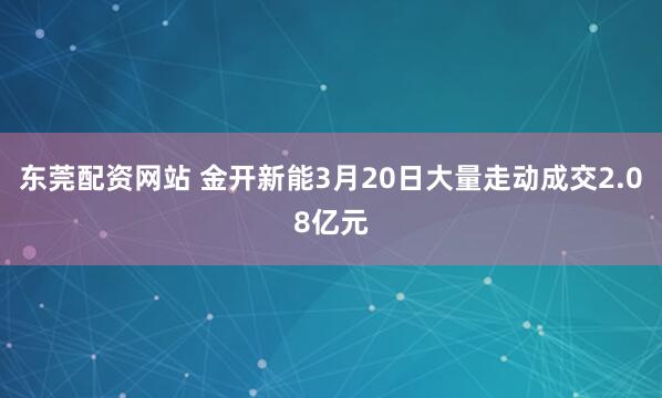 东莞配资网站 金开新能3月20日大量走动成交2.08亿元