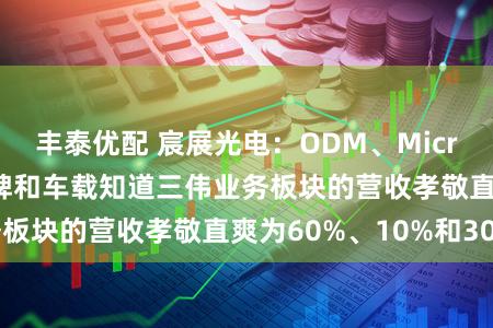 丰泰优配 宸展光电：ODM、MicroTouch自有品牌和车载知道三伟业务板块的营收孝敬直爽为60%、10%和30%