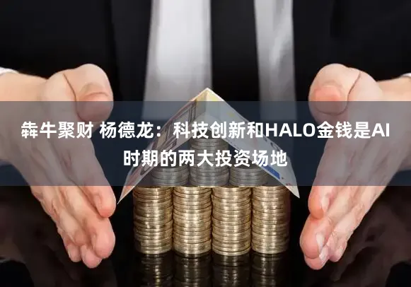 犇牛聚财 杨德龙：科技创新和HALO金钱是AI时期的两大投资场地