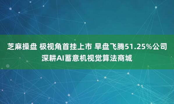芝麻操盘 极视角首挂上市 早盘飞腾51.25%公司深耕AI蓄意机视觉算法商城