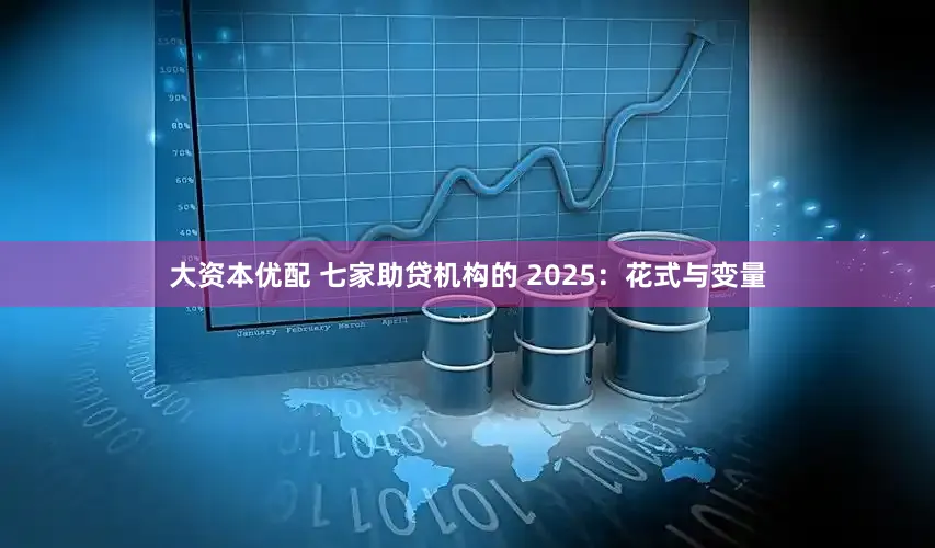 大资本优配 七家助贷机构的 2025:花式与变量