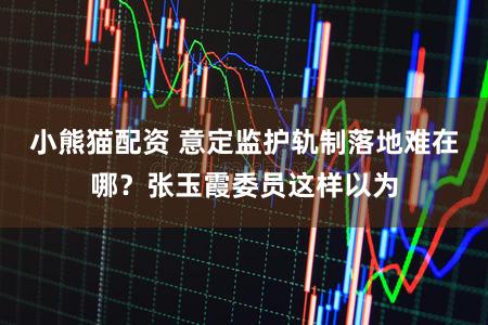 小熊猫配资 意定监护轨制落地难在哪?张玉霞委员这样以为