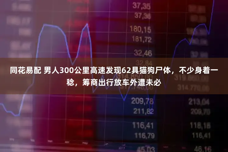 同花易配 男人300公里高速发现62具猫狗尸体，不少身着一稔，筹商出行放车外遭未必