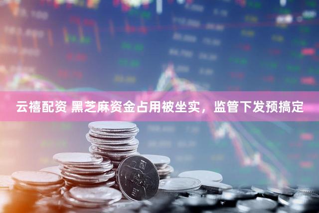 云禧配资 黑芝麻资金占用被坐实，监管下发预搞定